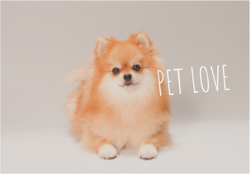 ペットと暮らす