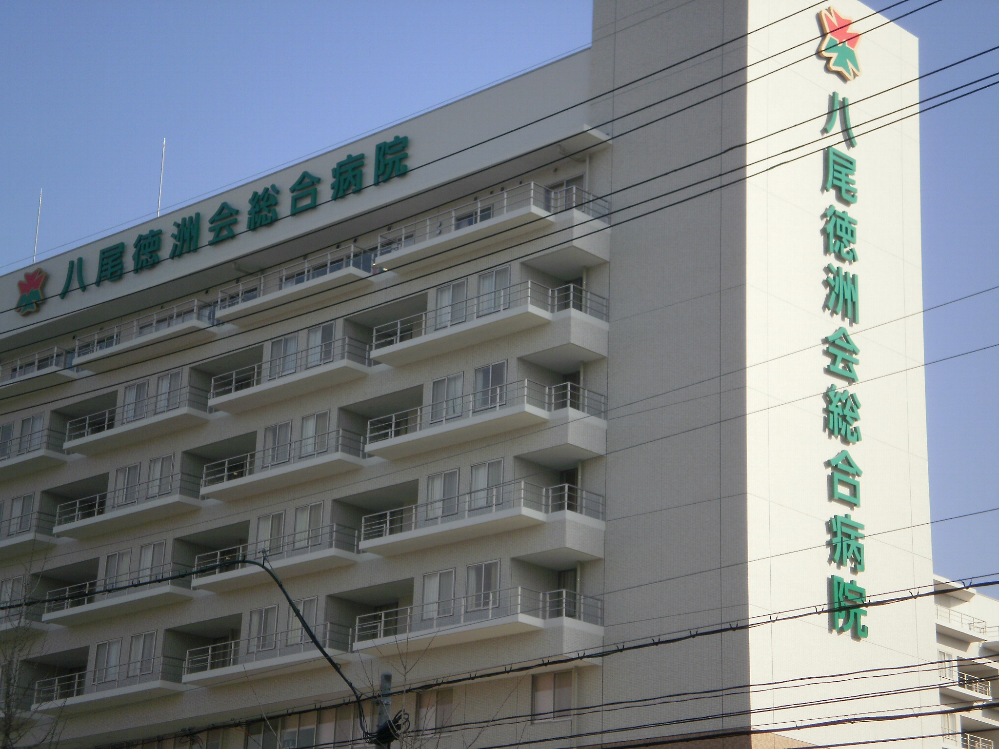 ブラインドアリー東本町 総合病院