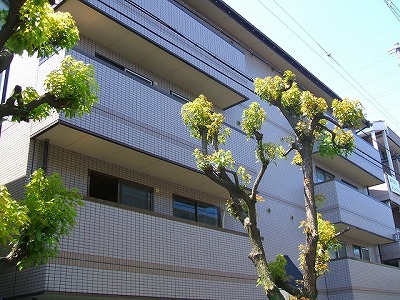 VIVI山本 外観
