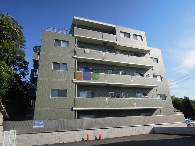 オリーブ 外観