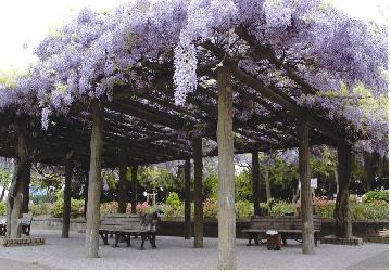 クレール　メゾン 公園