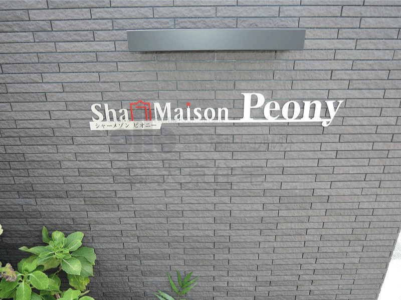 シャーメゾンピオニー その他
