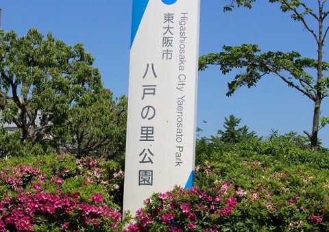 メゾン　グレンデール 公園